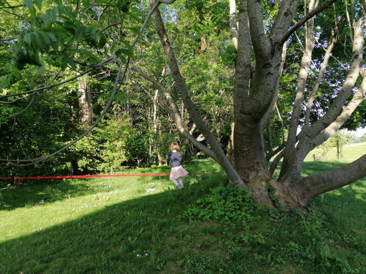 5Sterne Ferienwohnung Im Fachwerk Mit Bergblick In Alleinlage Und Grossem Garten, Infrarotkabine Humberg Extérieur photo