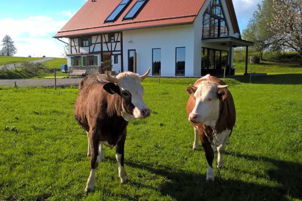 5Sterne Ferienwohnung Im Fachwerk Mit Bergblick In Alleinlage Und Grossem Garten, Infrarotkabine Humberg Extérieur photo