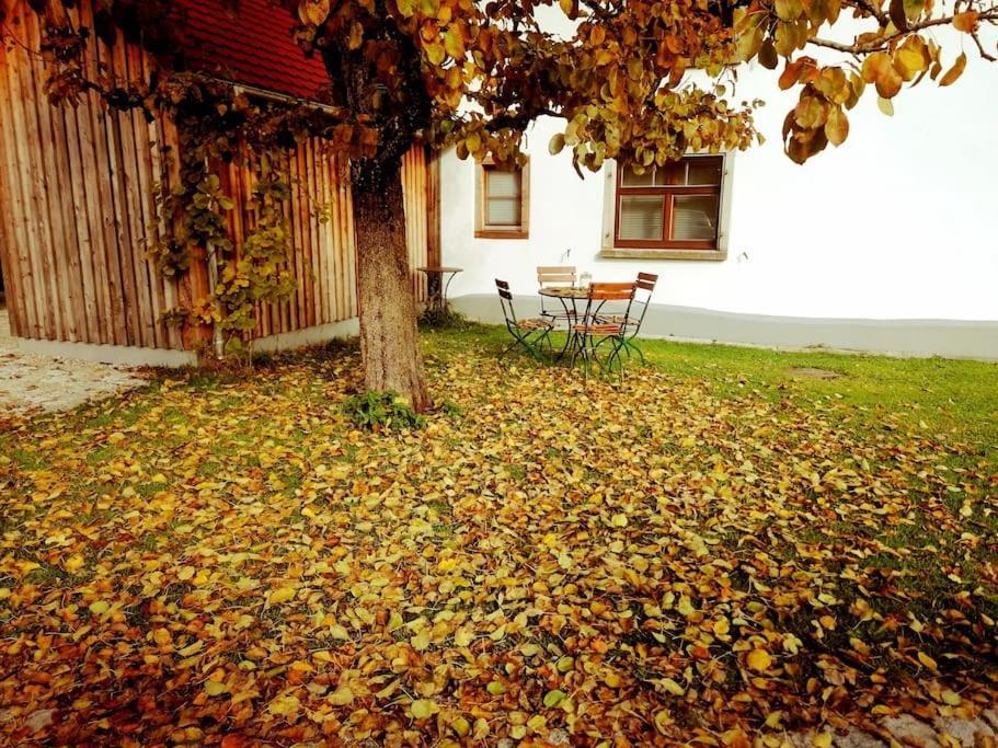 5Sterne Ferienwohnung Im Fachwerk Mit Bergblick In Alleinlage Und Grossem Garten, Infrarotkabine Humberg Extérieur photo