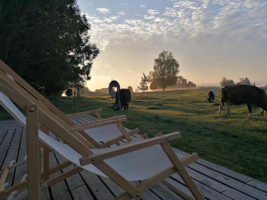 5Sterne Ferienwohnung Im Fachwerk Mit Bergblick In Alleinlage Und Grossem Garten, Infrarotkabine Humberg Extérieur photo
