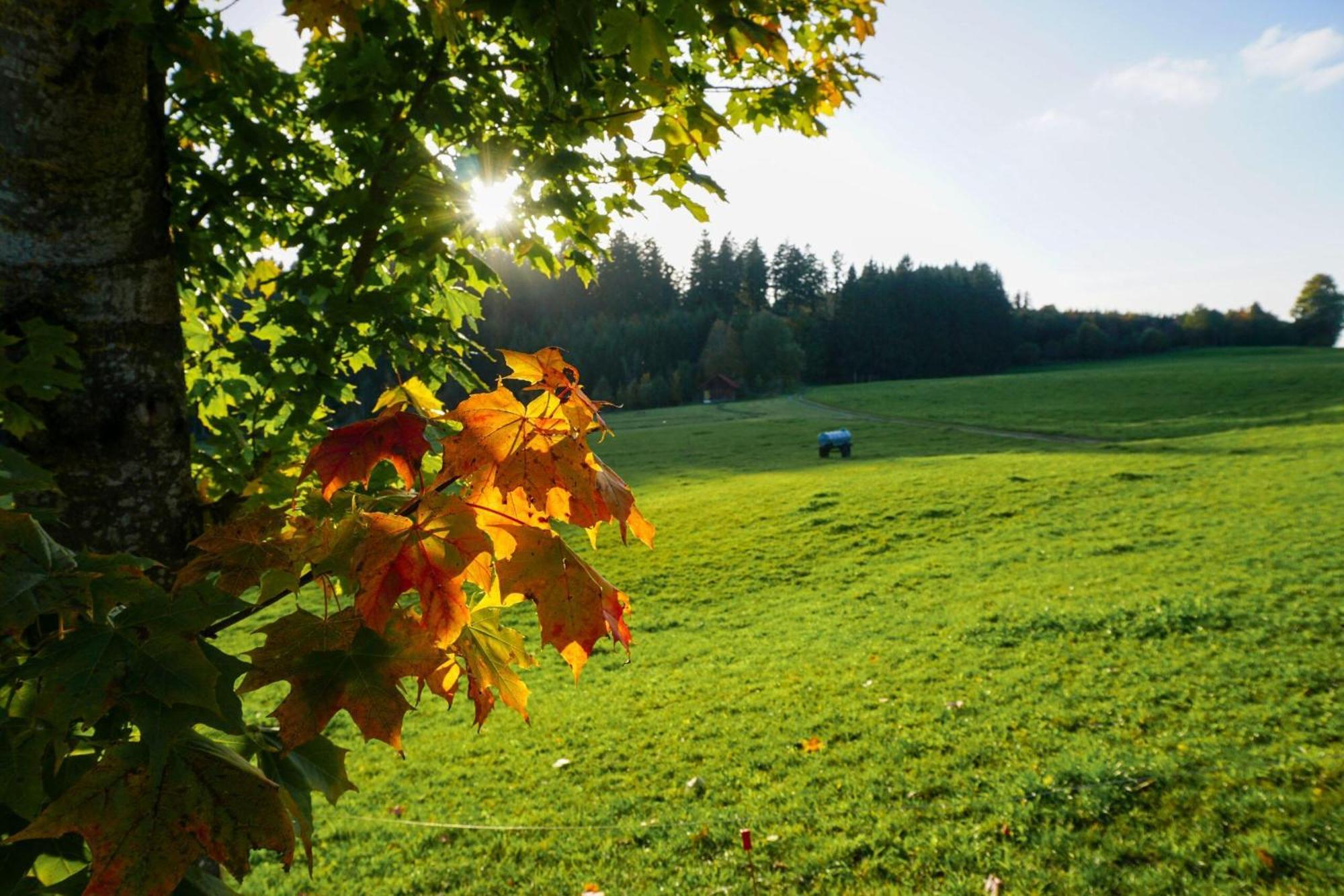 5Sterne Ferienwohnung Im Fachwerk Mit Bergblick In Alleinlage Und Grossem Garten, Infrarotkabine Humberg Extérieur photo